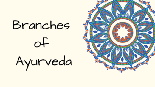 Branches of Ayurveda